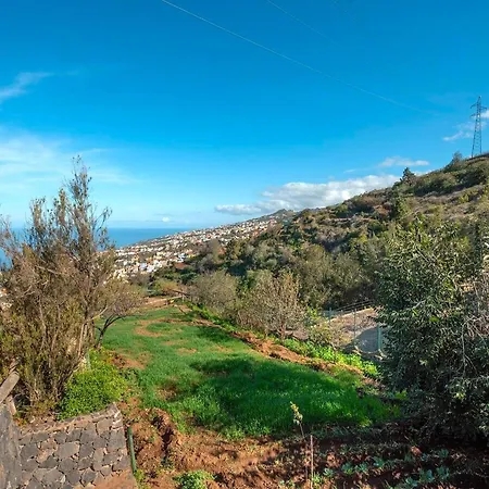 度假居 In Tenerife With Private Garden *