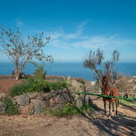 In Tenerife With Private Garden 度假居 *