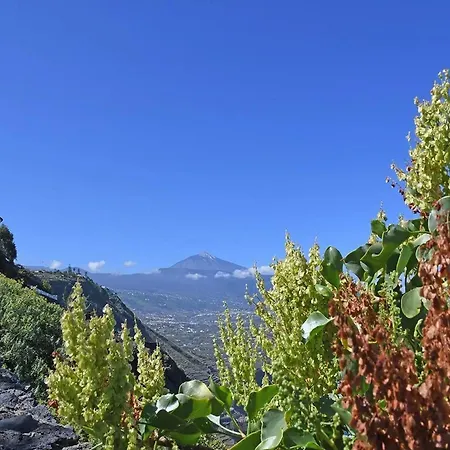 In Tenerife With Private Garden Vakantiehuis *