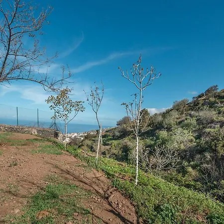 Vakantiehuis In Tenerife With Private Garden